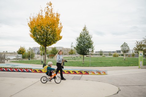 Herbst in der Seestadt